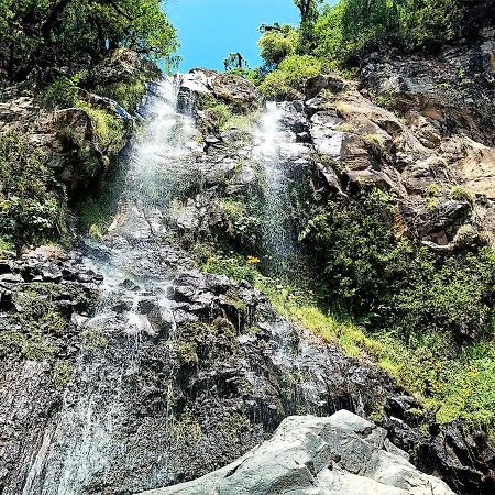 Cabana Para Pareja En El Bosque Ib Acaxochitlán Buitenkant foto