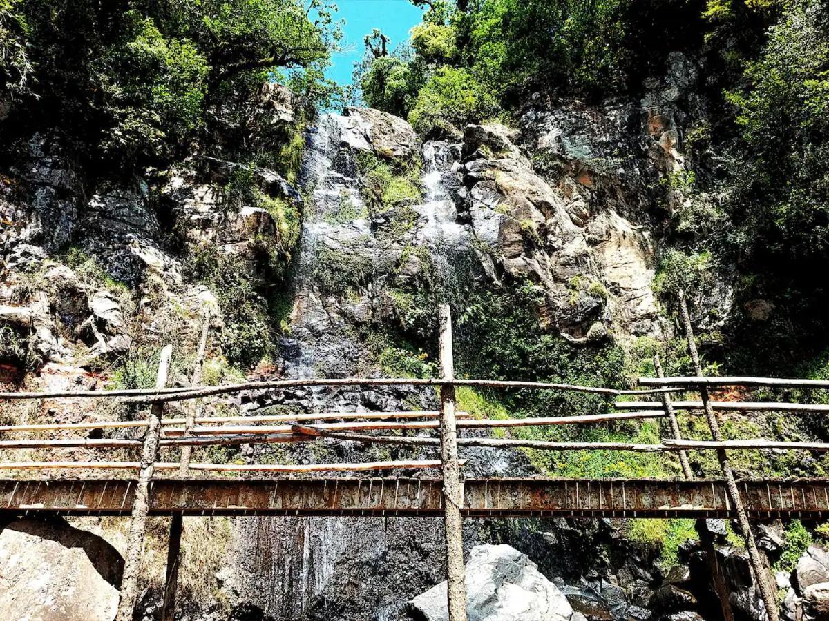 Cabana Para Pareja En El Bosque Ib Acaxochitlán Buitenkant foto